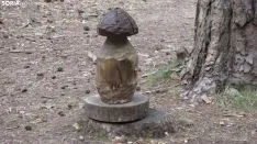 Bosque mágico de San Leonardo de Yagüe. A.G.