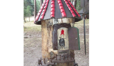 Bosque mágico de San Leonardo de Yagüe. A.G.