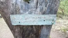 Bosque mágico de San Leonardo de Yagüe. A.G.