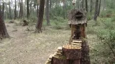 Bosque mágico de San Leonardo de Yagüe. A.G.