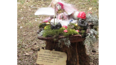 Bosque mágico de San Leonardo de Yagüe. A.G.