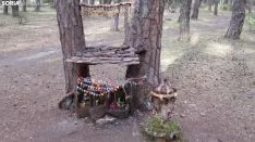 Bosque mágico de San Leonardo de Yagüe. A.G.