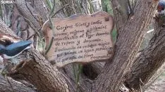 Bosque mágico de San Leonardo de Yagüe. A.G.