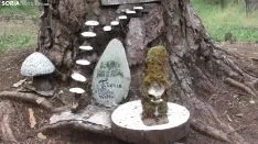 Bosque mágico de San Leonardo de Yagüe. A.G.