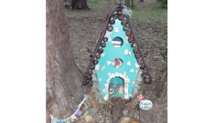 Bosque mágico de San Leonardo de Yagüe. A.G.