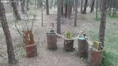 Bosque mágico de San Leonardo de Yagüe. A.G.