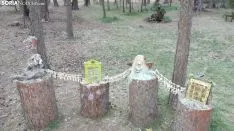 Bosque mágico de San Leonardo de Yagüe. A.G.