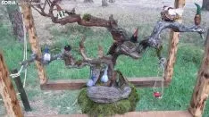 Bosque mágico de San Leonardo de Yagüe. A.G.
