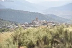 Campos de lavanda en San Felices