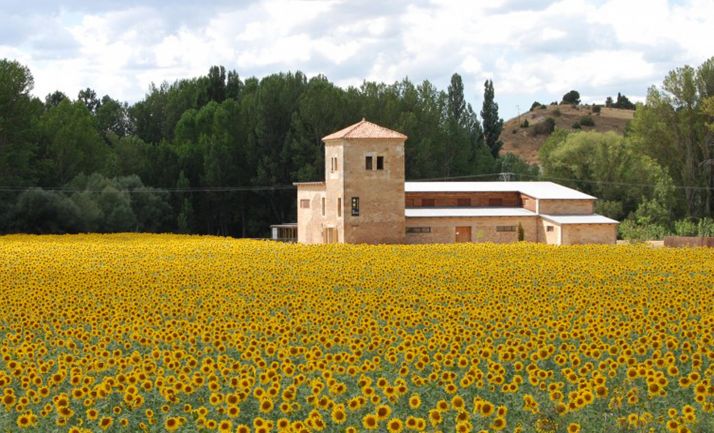 Respira Naturaleza, la propuesta de las Casas del Parque para este verano