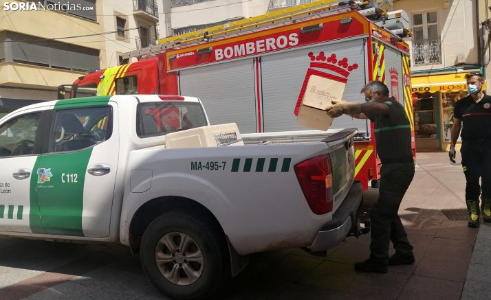 Recogen una cigüeña en la plaza del Rosel 