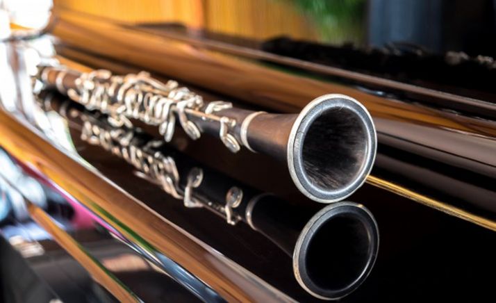 El clarinete protagoniza el inicio del ciclo. 