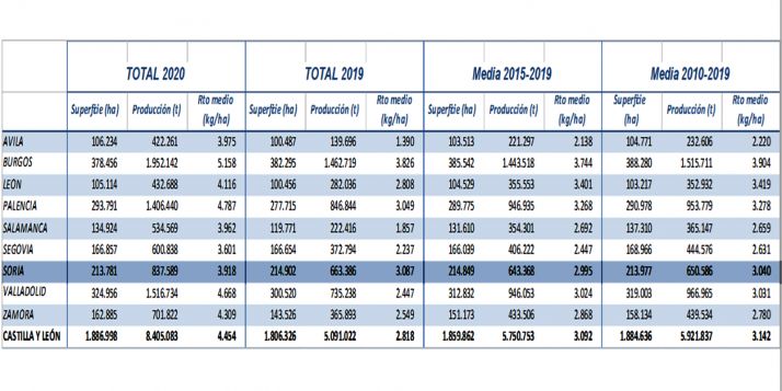 El rendimiendo de la cosecha de cereal se eleva este año a más de 3,8 toneladas por hectárea