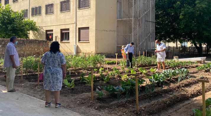 El huerto habilitado en las instalaciones de la San José. /Dip.