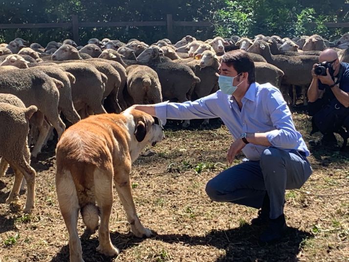 Suárez-Quiñones respalda las iniciativas de impulso de la trashumancia