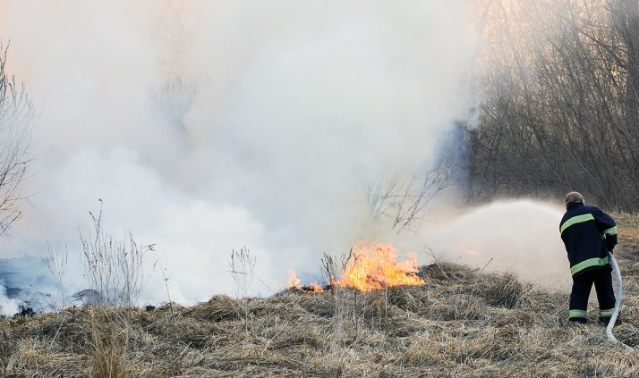 Labores de apagado de un incendio forestal en una imagen de archivo.