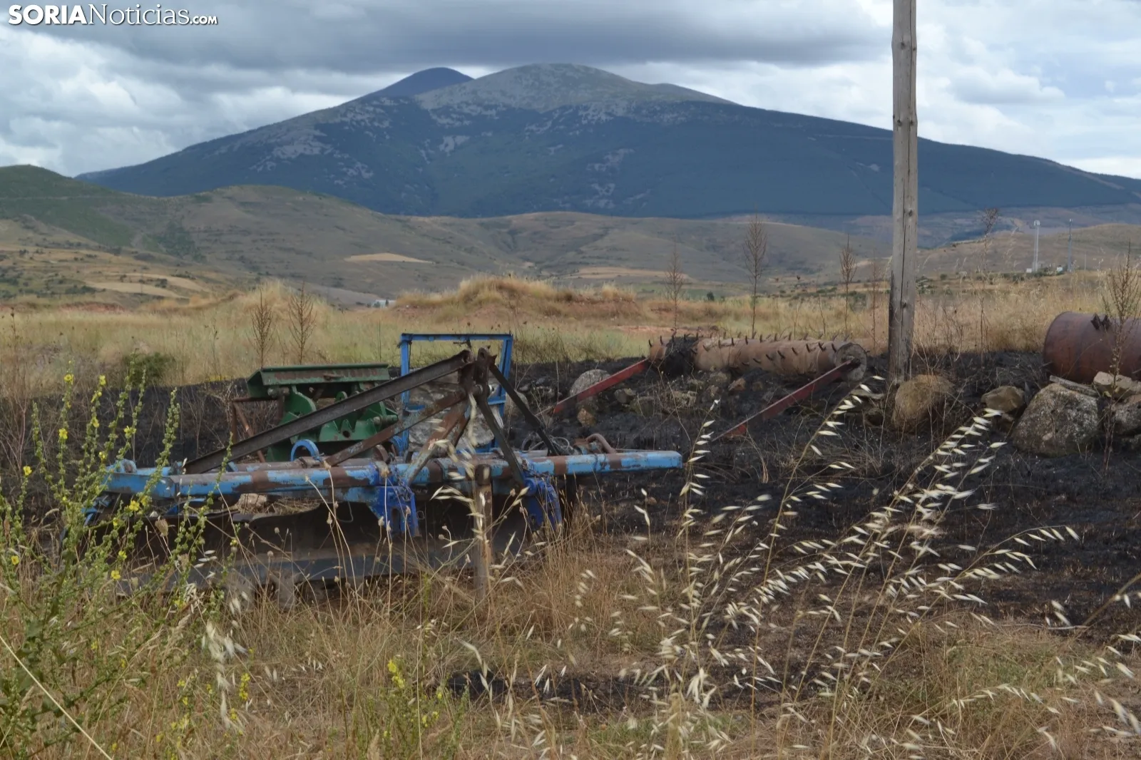 Una imagen del terreno que ha sido pasto de las llamas. /SN