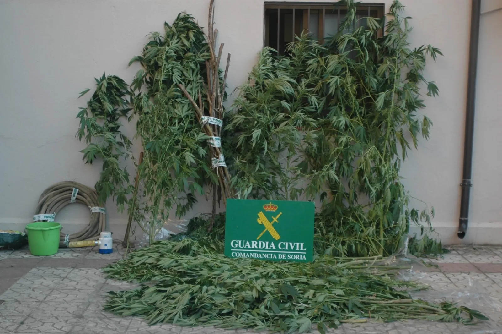 Las plantas y efectos incautados por el SEPRONA. /GC