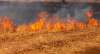 Foto 1 - El calor sahariano propicia un riesgo extremo de incendios forestales hasta el día 10: ¡Mucha precaución!