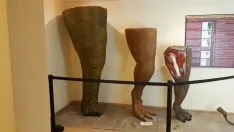 Aula Paleontológica de los Dinosaurios de Villar del Río.