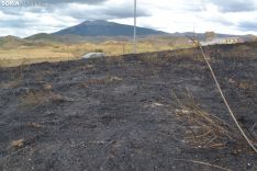 Una imagen del terreno que ha sido pasto de las llamas. /SN