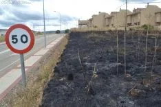 Una imagen del terreno que ha sido pasto de las llamas. /SN