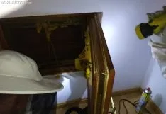 Una imagen de la retirada del enjambre. /SN