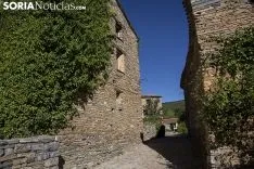 Numerosas personas de toda España han querido conocer Valdelavilla. /Soria Noticias