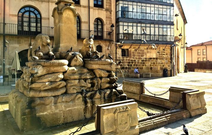 El PP exige actuar contra la excesiva presencia de palomas en la capital