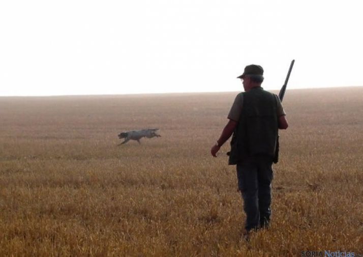 Caza: Comienza la media veda en Castilla y León. Conoce cupos, plazos, días hábiles, recomendaciones...