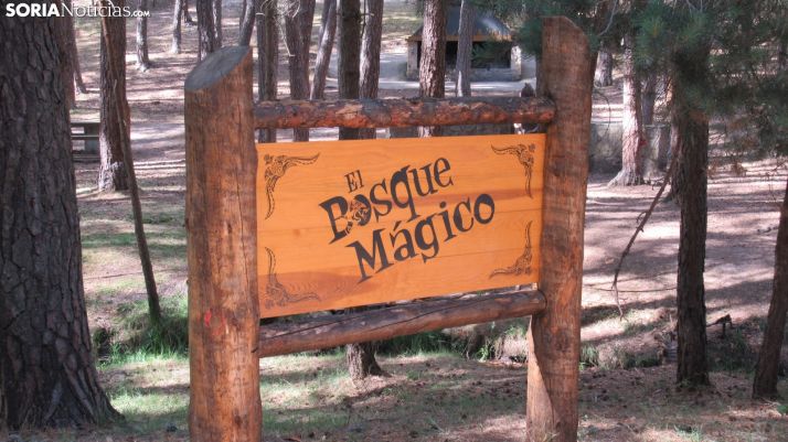 Soria con niños: Turismo en Soria para disfrutar en familia
