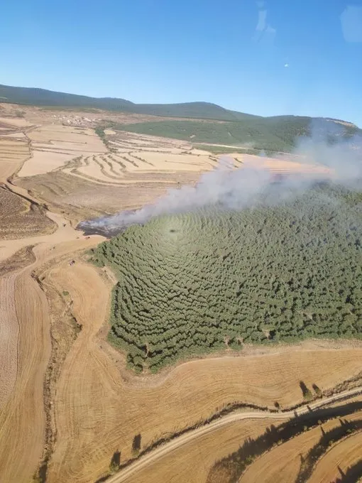 Fotos de los incendios en Oncala y Sárnago/ Fuente: BRIF a Lubia