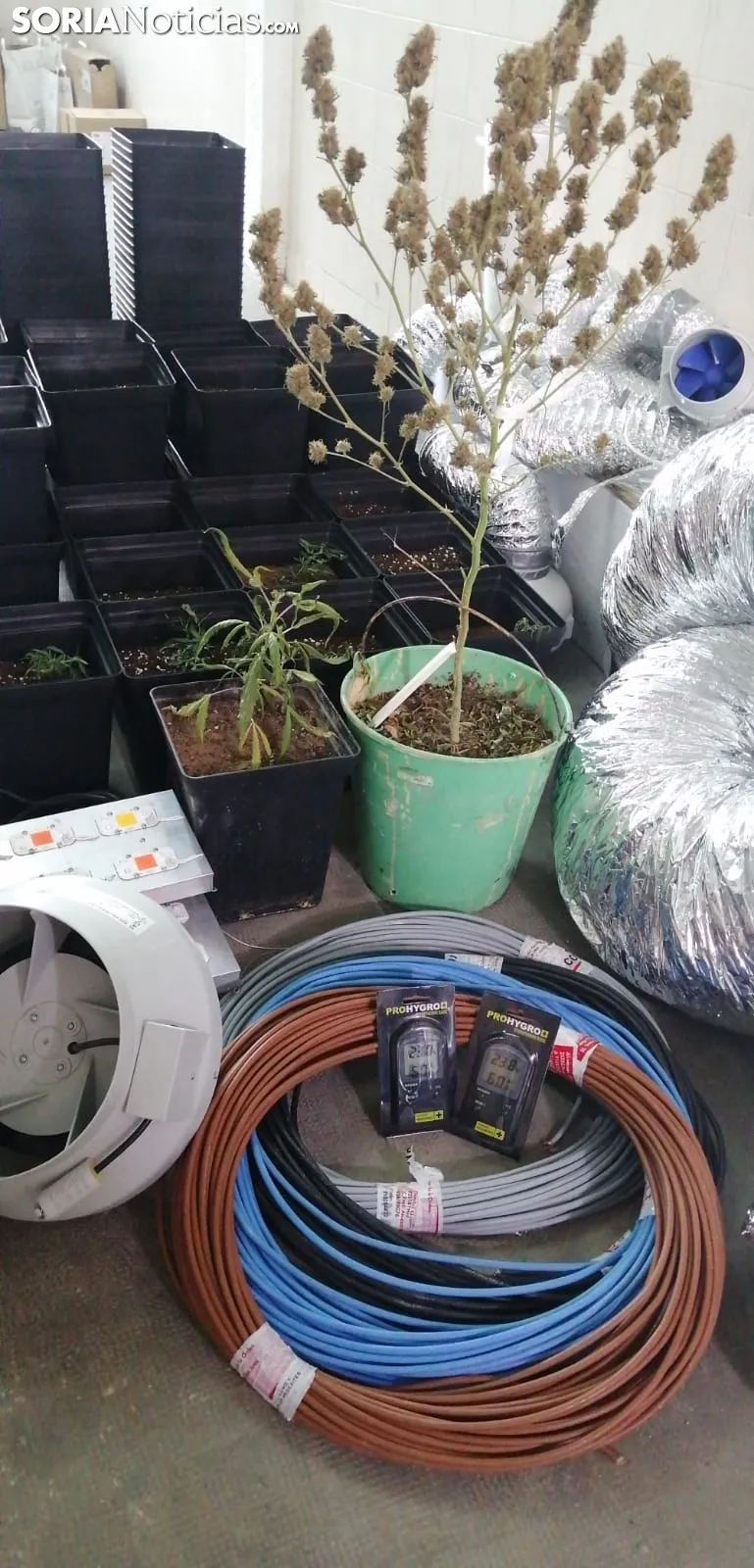 Foto 2 - Galer&iacute;a: Coches de alta gama y pelotas de tenis incautados en una macrooperaci&oacute;n contra la droga en Soria