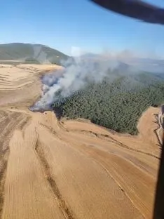 Fotos de los incendios en Oncala y Sárnago/ Fuente: BRIF a Lubia
