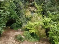 Foto 12 - La cascada de la Toba luce espectacular a la espera de las primeras lluvias del oto&ntilde;o