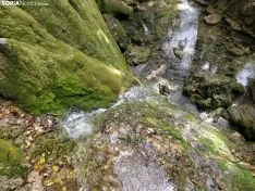 Foto 18 - La cascada de la Toba luce espectacular a la espera de las primeras lluvias del oto&ntilde;o