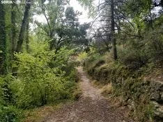 Foto 6 - La cascada de la Toba luce espectacular a la espera de las primeras lluvias del oto&ntilde;o