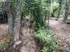 Foto 13 - La cascada de la Toba luce espectacular a la espera de las primeras lluvias del oto&ntilde;o