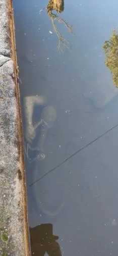 Fragmentos de la estatua, bajo el agua, en el interior de la fuente.