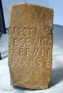 Foto 3 - Patrimonio autoriza el traslado de estelas funerarias de Tierras Altas para una exposici&oacute;n en Bergara: &iquest;Pero para cu&aacute;ndo un centro de interpretaci&oacute;n?