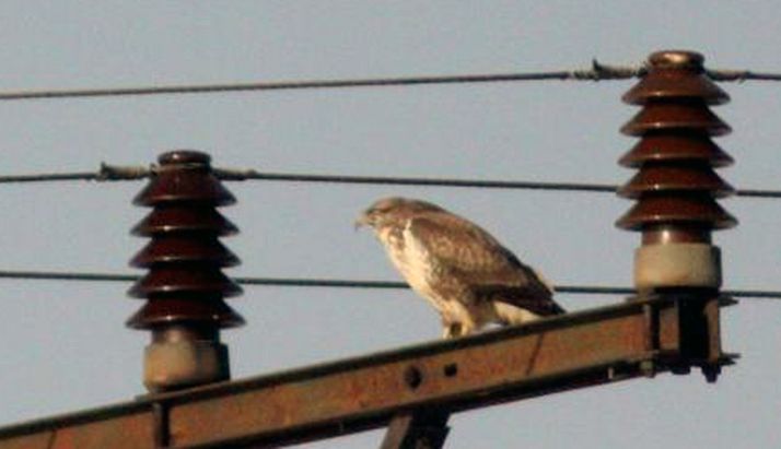 Más de 2,6 M&euro; para proyectos en espacios naturales, especies protegidas y para la lucha contra el cambio climático