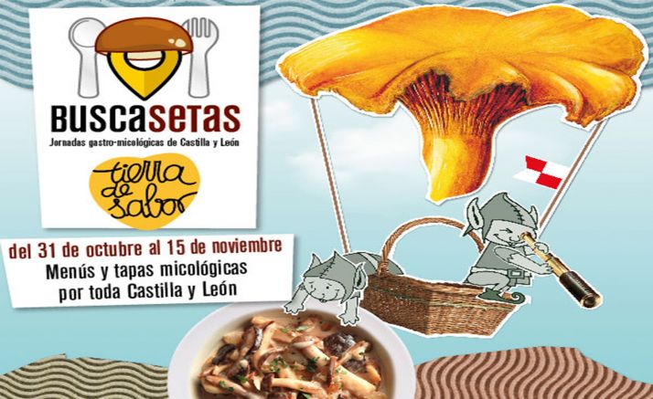 Este jueves abre el plazo de inscripción para Buscasetas 2020