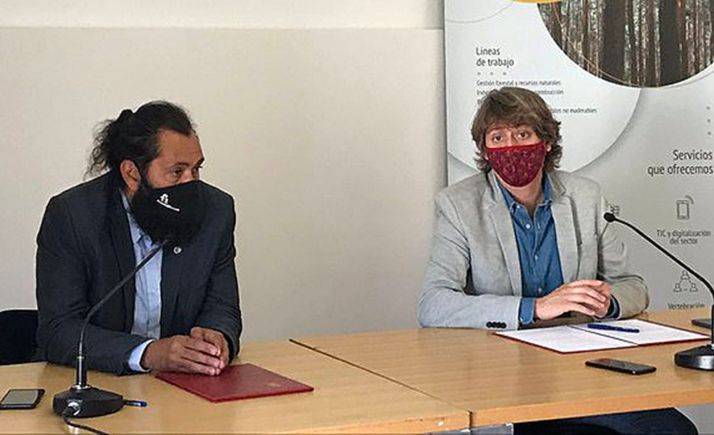 Soria busca ser referente en recursos forestales