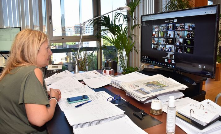 La delegada, en la videoconferencia de este martes. /Jta.