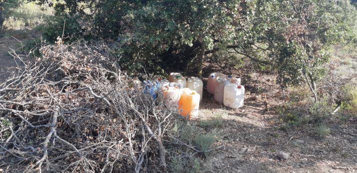 Detenidas cuatro personas en San Felices por cultivar marihuana en el monte