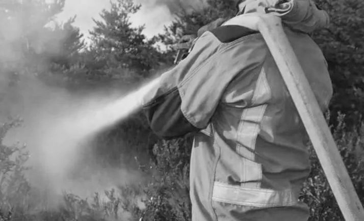 Arden cien metros cuadrados de terreno forestal en Renieblas