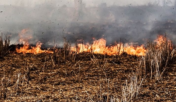 Arden cien metros cuadrados en Hinojosa de la Sierra