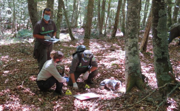 Agentes medioambientales en el lugar del hallazgo. /Jta.