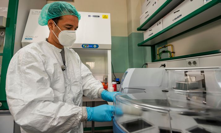Así funciona la prueba PCR, la instantánea diagnóstica del coronavirus
