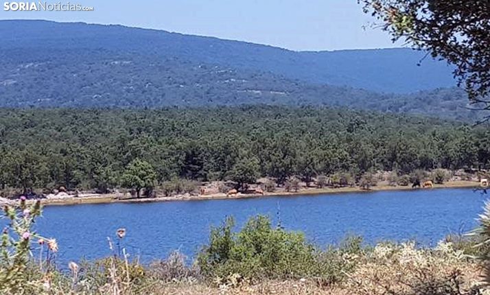 Los niveles del embalse siguen a la baja